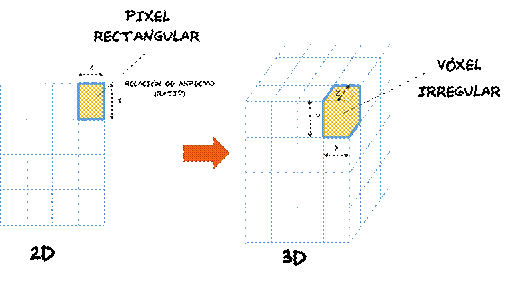 voxelIrregular